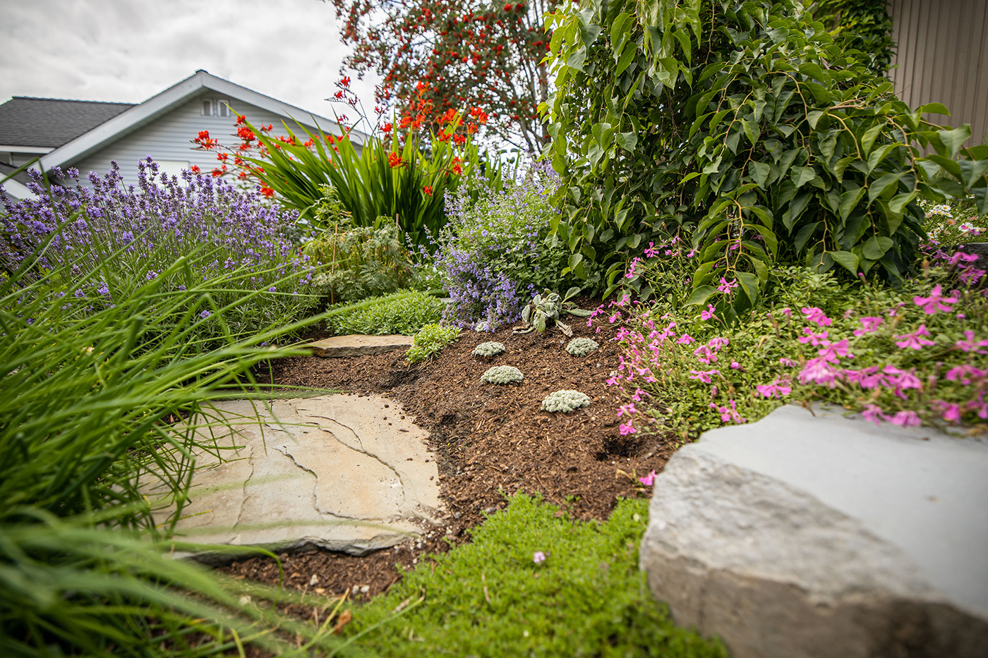 garden with mulch, perennials flowers and flagstones