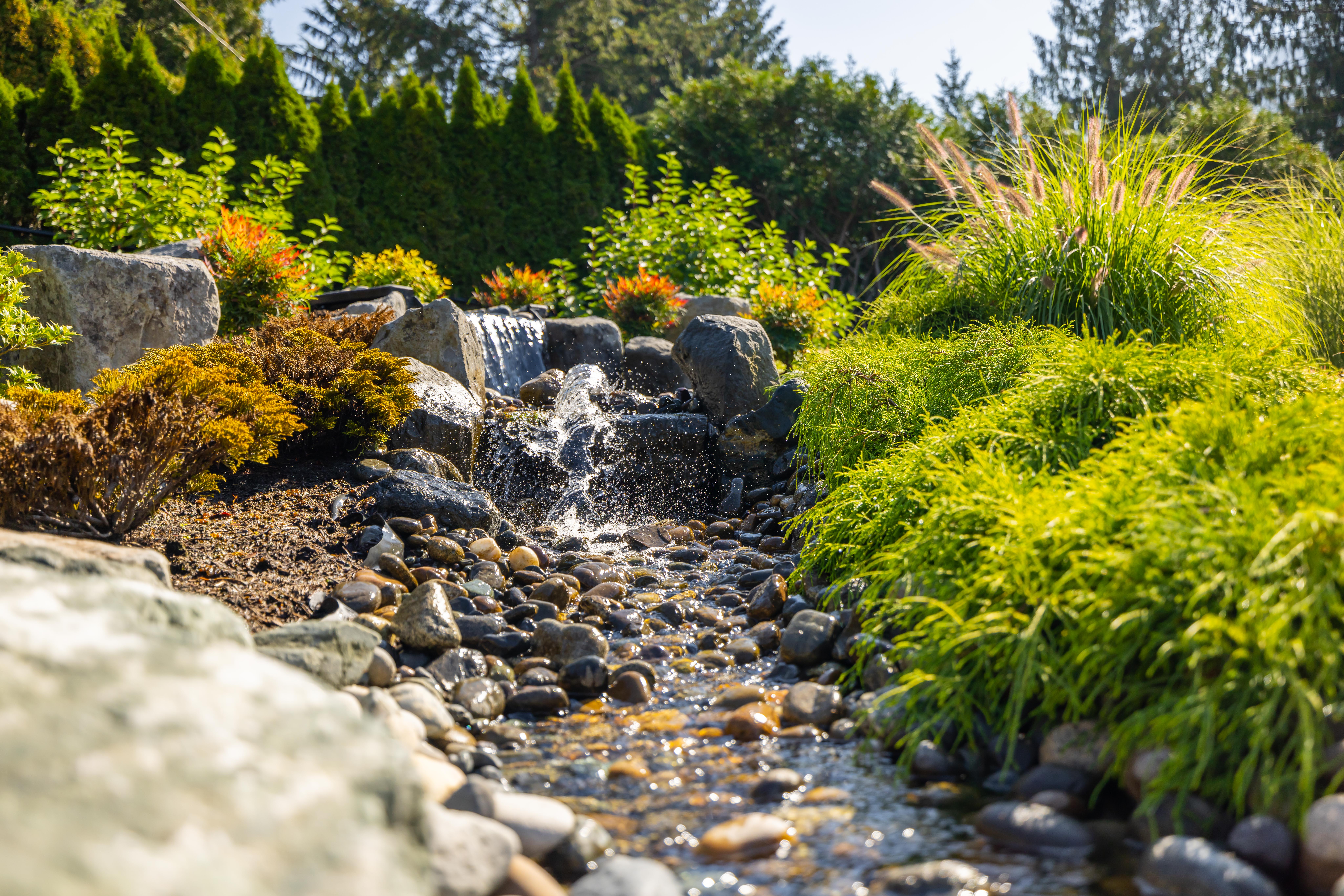 mini waterfall surrounded by tall grass