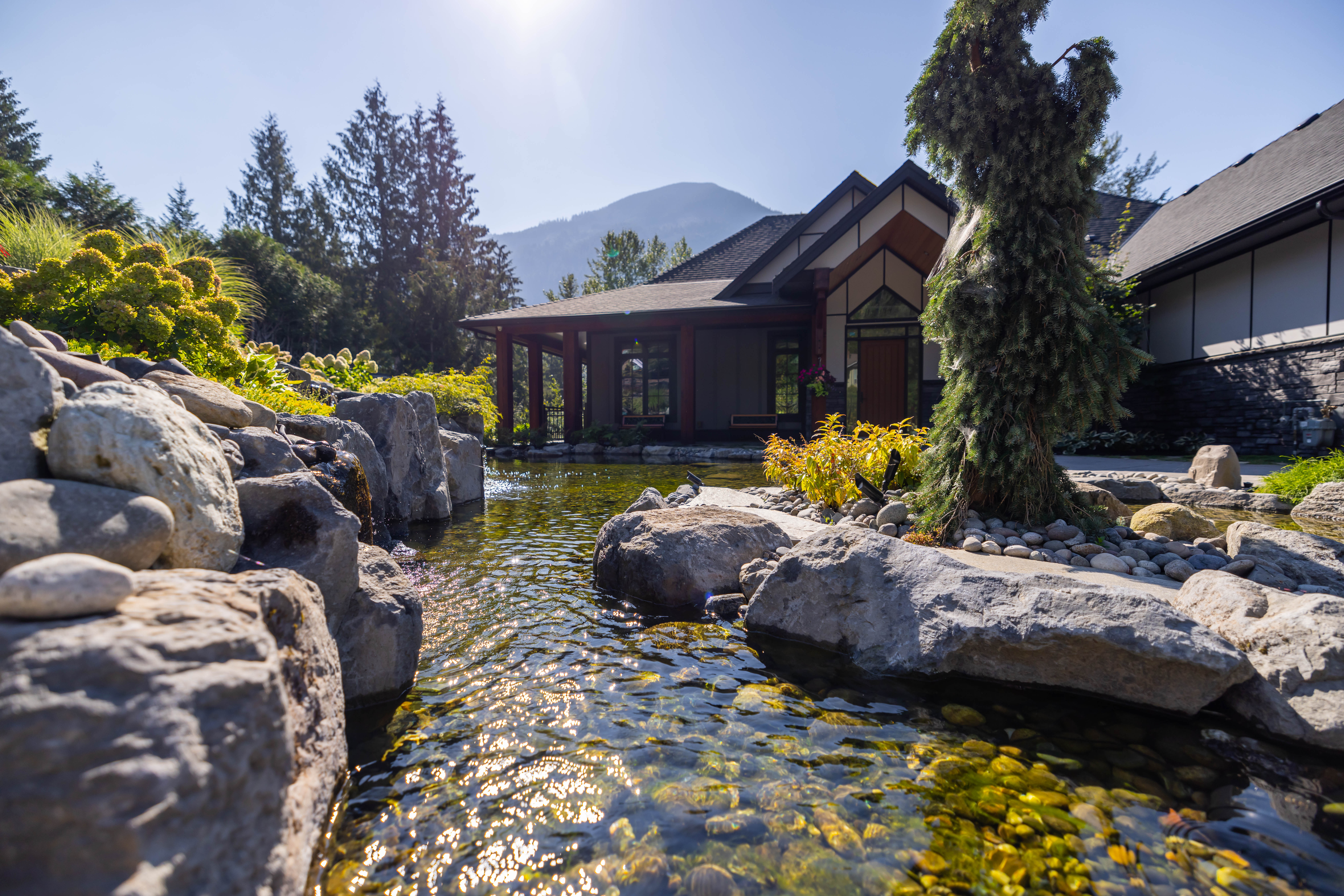 pond in front of house