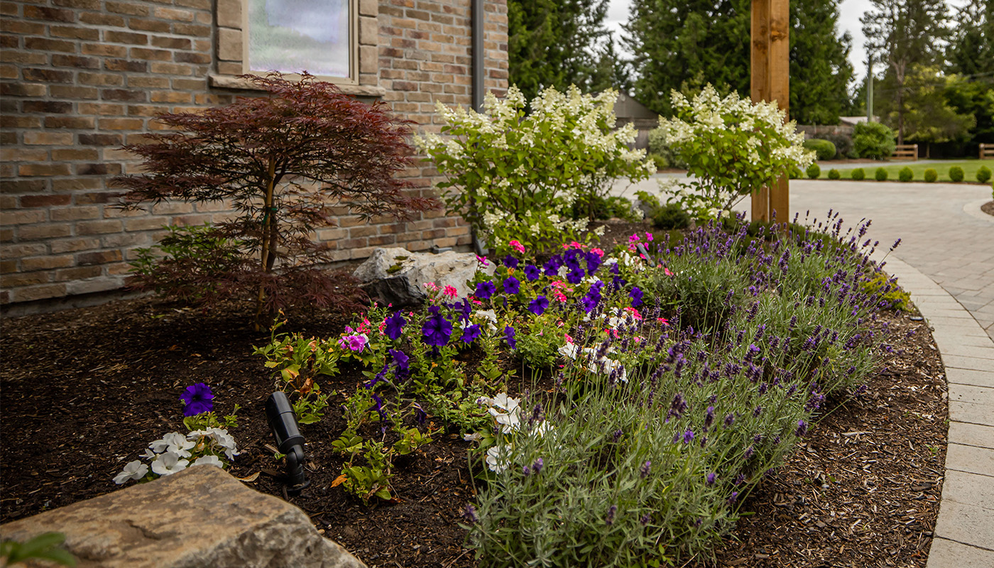 a garden with mulch and perennials flowers