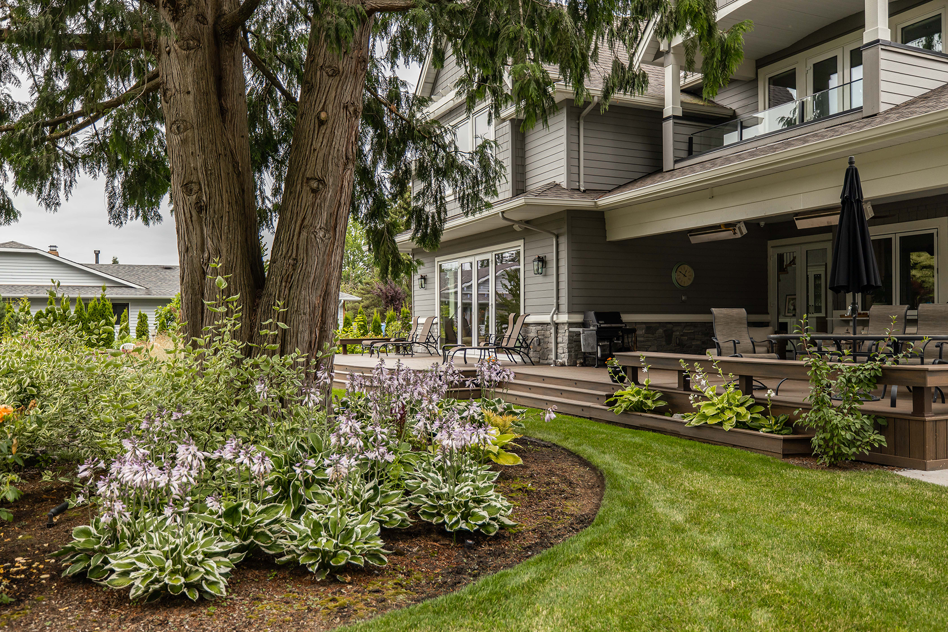 garden with flowers and tree
