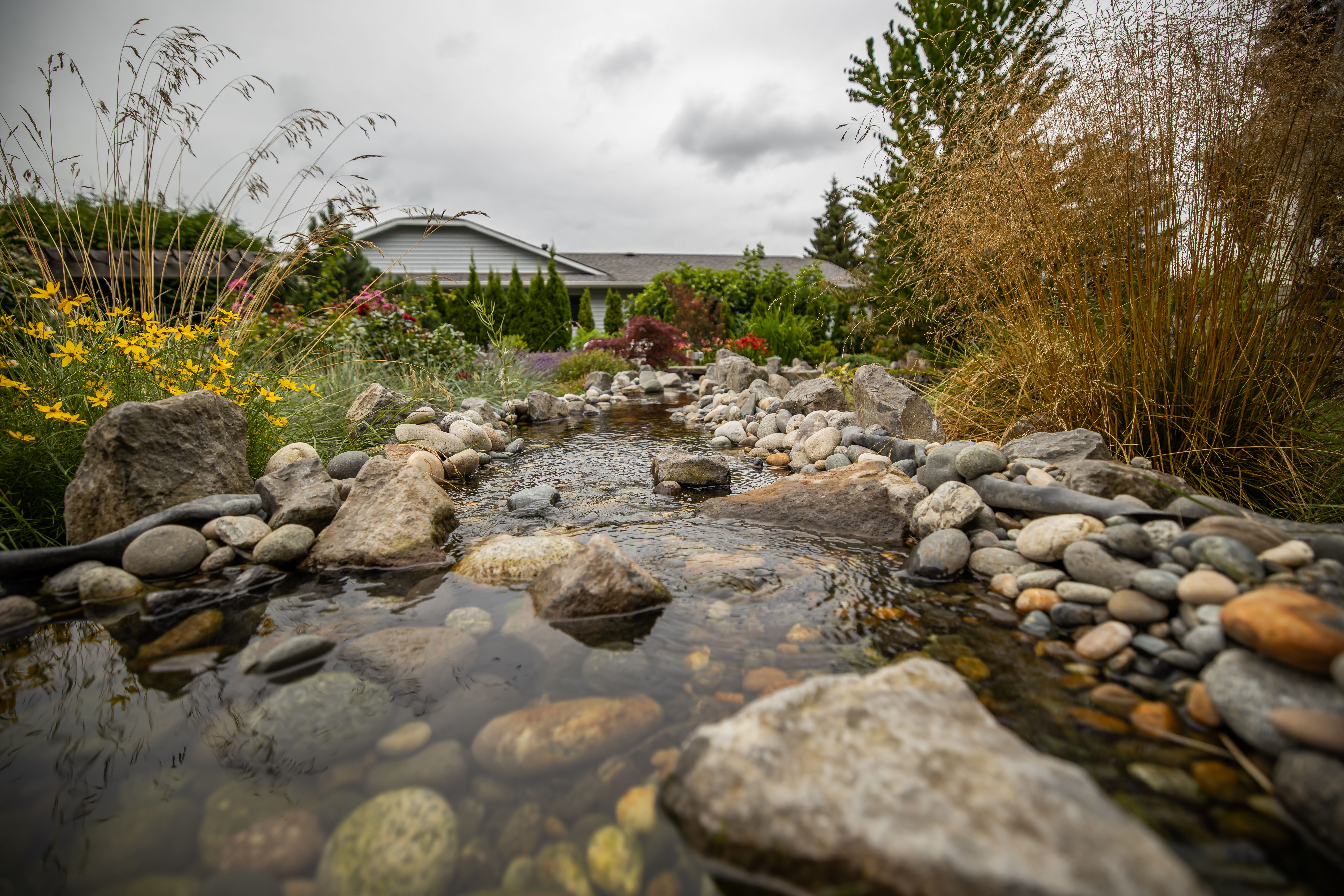 stream with rocks
