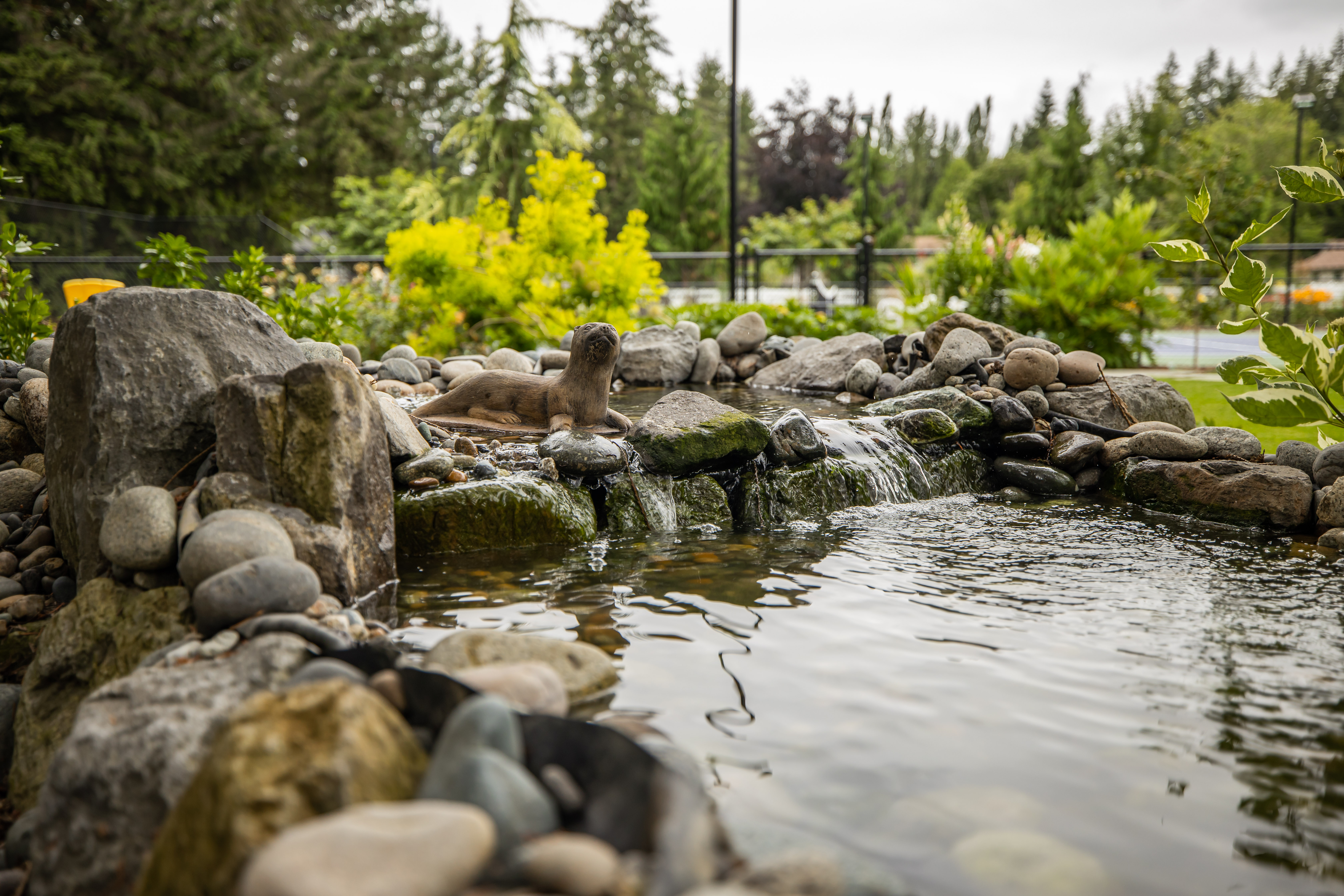small waterfall in pond
