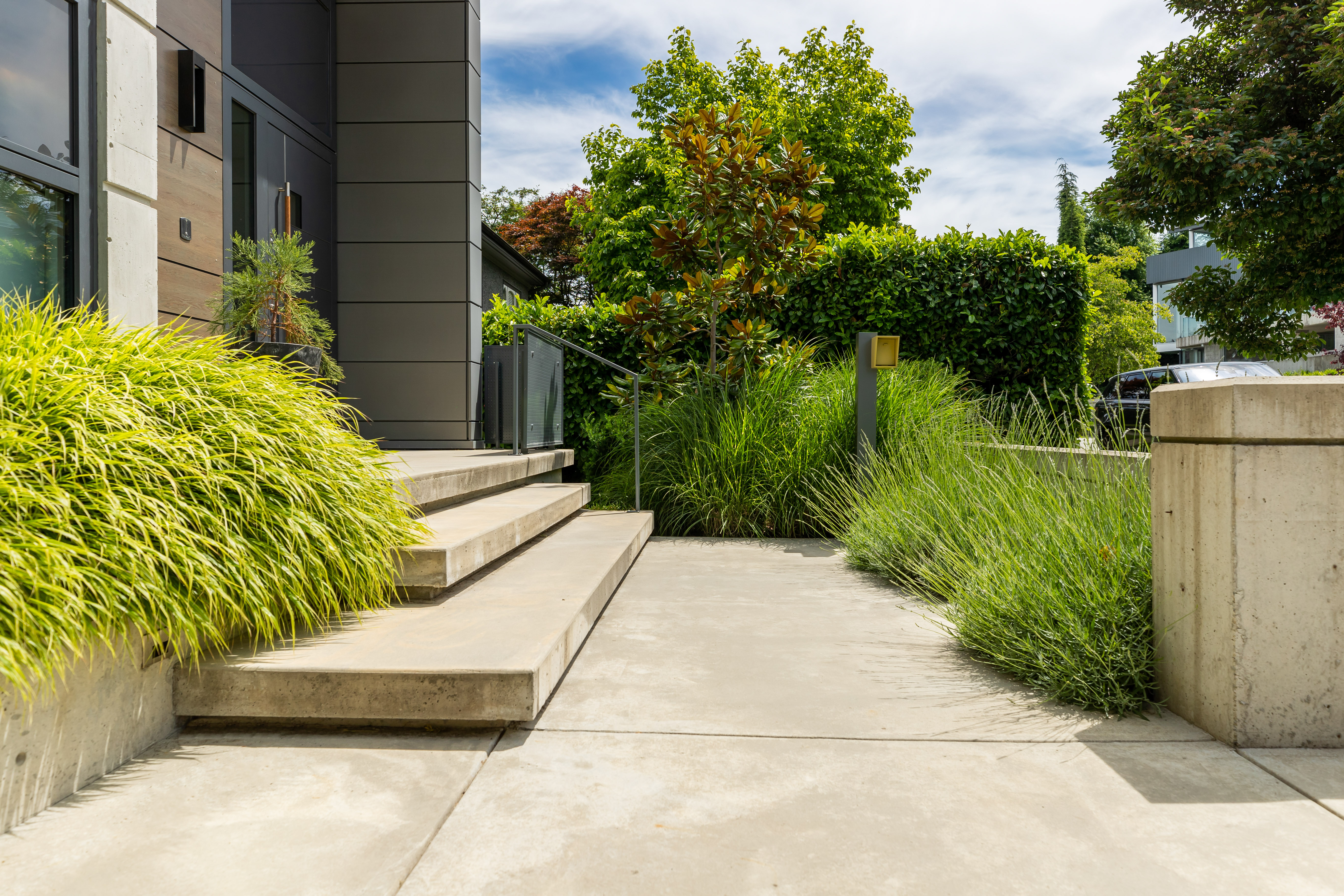 concrete stairs with tall grass