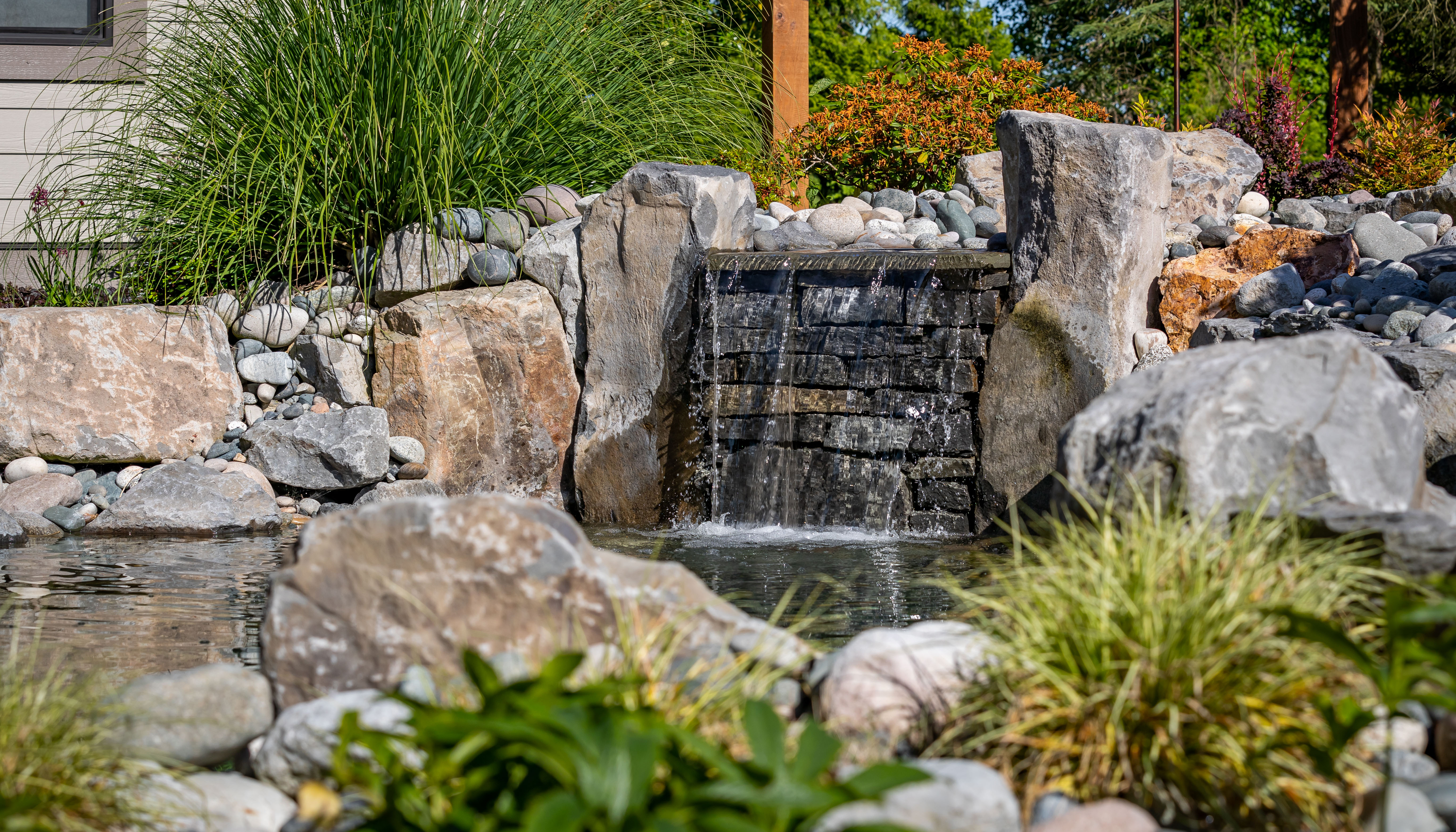 natural swimming pond