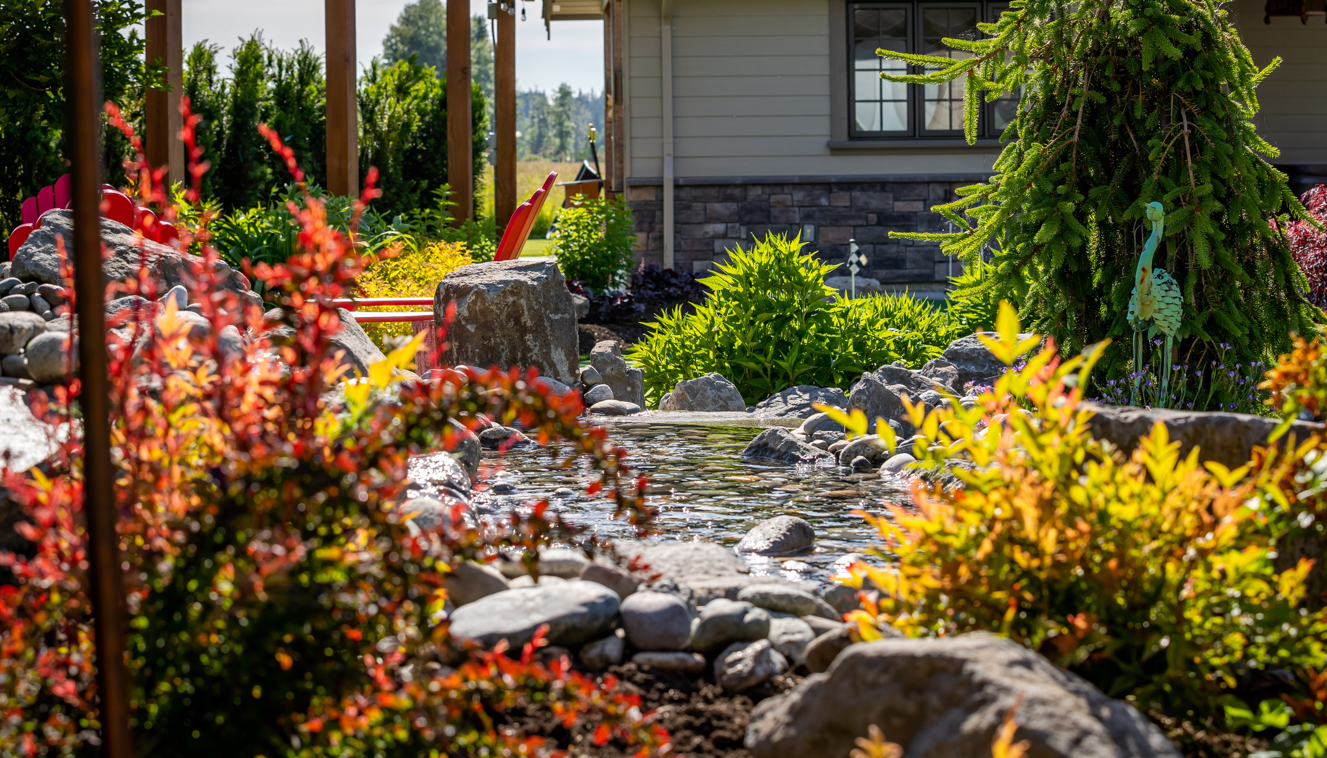 natural swimming pond