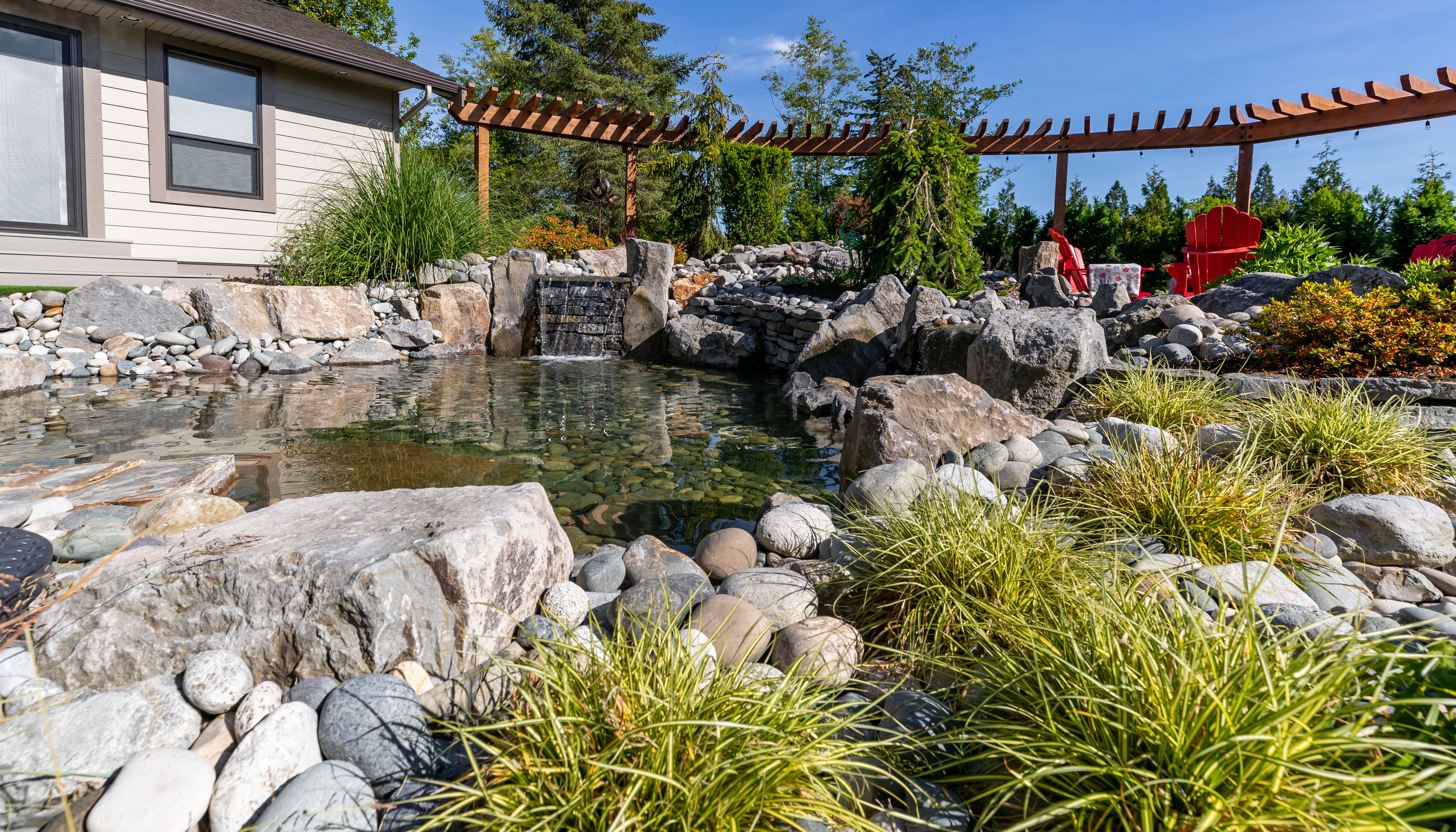 natural swimming pond
