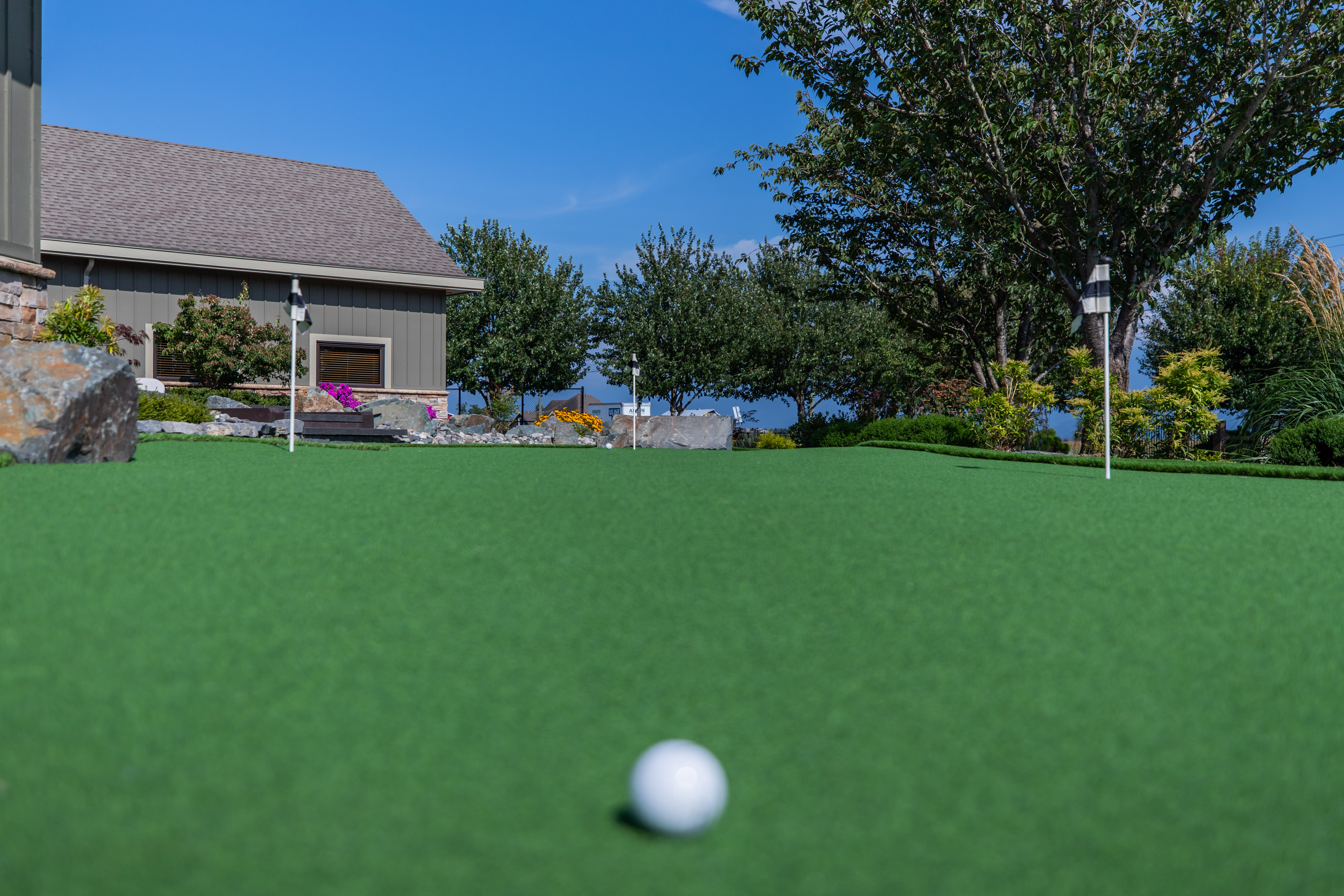 putting green with golf ball
